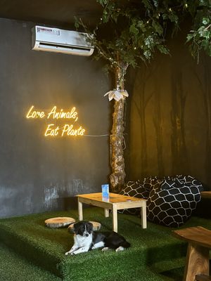  #Veganuary at Black Forest Cafe in Yogyakarta