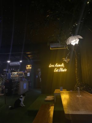   at Black Forest Cafe in Yogyakarta