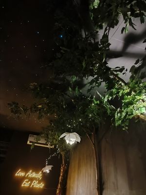  at Black Forest Cafe in Yogyakarta