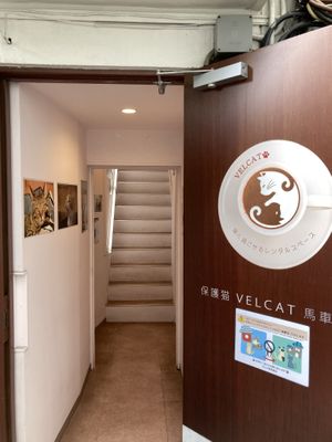 Entrance   at Rescue Cat Cafe Velcat - 保護猫カフェ VELCAT 馬車道店 in Yokohama