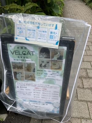 Information   at Rescue Cat Cafe Velcat - 保護猫カフェ VELCAT 馬車道店 in Yokohama