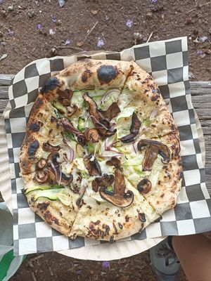 Magic Mushrooms: white cheese sauce, zucchini ribbons, roasted Mushrooms, caramelised onions, garlic, black truffa oil drizzle at Rawr Goods in Panama City