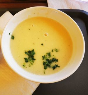Roasted garlic soup at Csillag Büfé a Rómain in Budapest