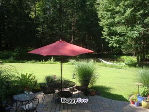 patio and pond at Hungry Ghost Guest House in New Paltz