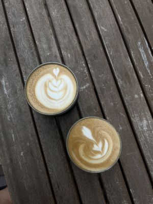 aussie magic and oat latte  at Arvo Coffee in Toronto