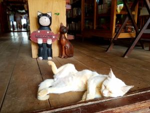 welcome :) at Catfish Book Cafe in Koh Lanta