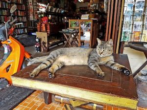 table reserved :D at Catfish Book Cafe in Koh Lanta
