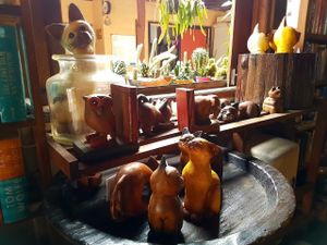 cats at Catfish Book Cafe in Koh Lanta