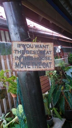  at Catfish Book Cafe in Koh Lanta