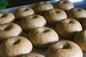 Plain bagels~ vegan and gluten free at Cosmic Bakery in Miami Lakes