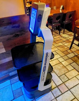 Lucky the dining room delivery robot! at Lily in Kennett Square