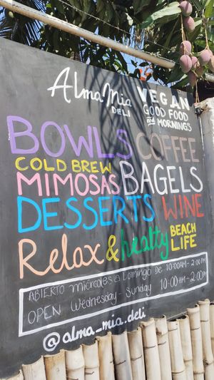  at Alma Mia Deli in Puerto Escondido