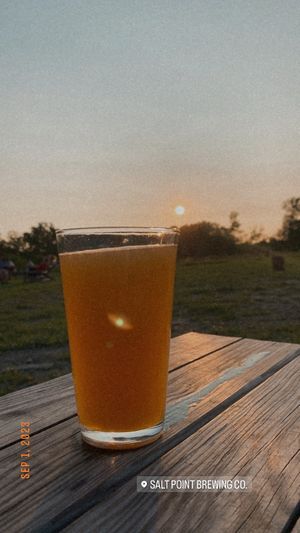   at Salt Point Brewing Co in Lansing