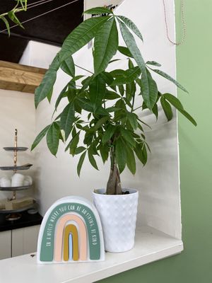 Be kind   at The Green Beautiful  in Manchester