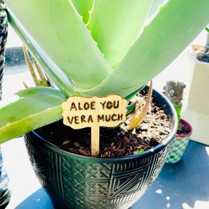  at The Green Beautiful  in Manchester