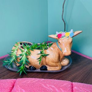  at The Green Beautiful  in Manchester