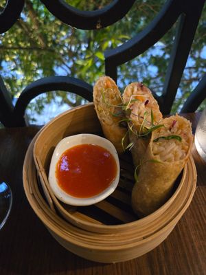 Pad-Thai spring roll at Miss Chief Bar & Eatery in Cairns