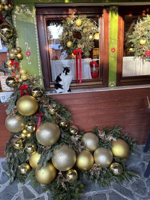   at Snow Restaurant in Sinaia