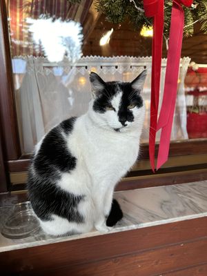   at Snow Restaurant in Sinaia