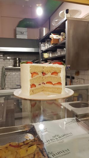  at Sisters & Harvest in Istanbul