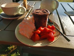 veganer Schoko - Schock mit veganer Sahne at Café Enehus in Einhaus