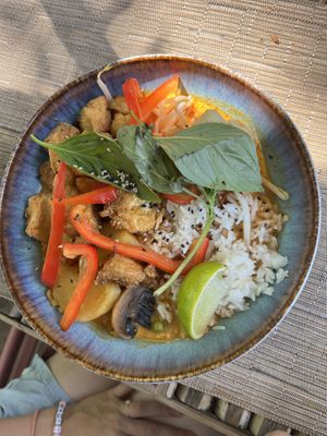 Vegan curry  at Champa in Metzingen