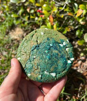 White chocolate chip earth day cookie  at Gaia Bakes in Ocala