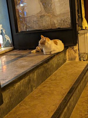  at Arch Bistro in Istanbul