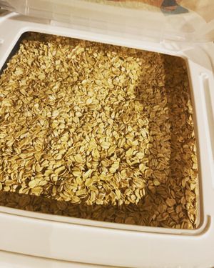 Organic oats  at HIRAOKA SusTERRAcE in Sodegaura