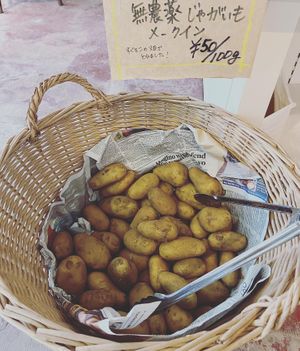 Potatoes from the near farmers   at HIRAOKA SusTERRAcE in Sodegaura