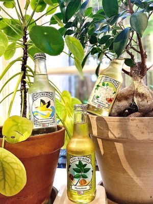 Naturfrisk cold sparkling drinks. 36,- at Emmylou Café in Copenhagen