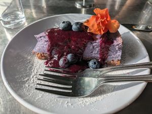 Blueberry cheesecake (they do not have vegan whipped cream currently if they automatically offer to add it) at Stonecat Cafe in Hector