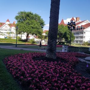 Grand Floridian at Grand Floridian Cafe in Lake Buena Vista