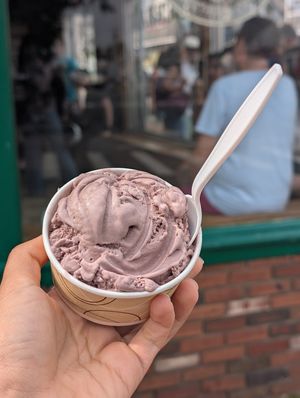 Black Raspberry vegan Ice Cream at Lewis Brothers Homemade Ice Cream in Provincetown