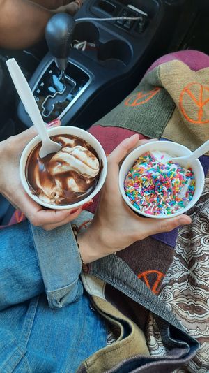 vanilla soft serve with hot fudge, twist soft serve with sprinkles at Frosty's Cake and Ice Cream in Lakewood