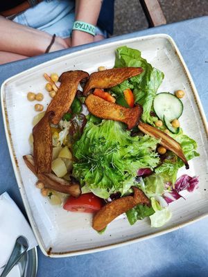  at Gelbes Krokodil in Linz