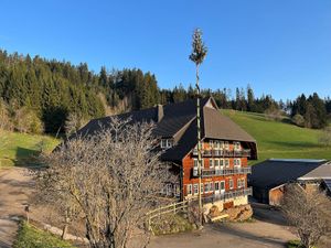 Gasthaus zum Strauß in Breitnau at Gasthaus zum Strauß in Breitnau