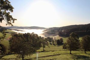 The restaurant is located in the middle of nature and has an amazing view of the Siedelbach valley. at Gasthaus zum Strauß in Breitnau
