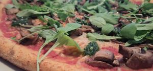 Fungky 2/3 (07 July 2024) at Vegan Pizza Bar in The Hague