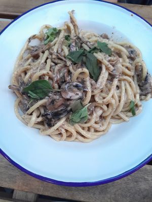 Mushroom and truffle pasta at Vegan Pizza Bar in The Hague