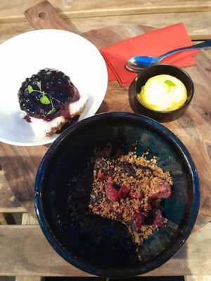 Brownie with mango sorbet and red fruit cheesecake at Vegan Pizza Bar in The Hague