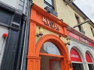 Door almost hidden... at Kyoto Kilkenny in Kilkenny