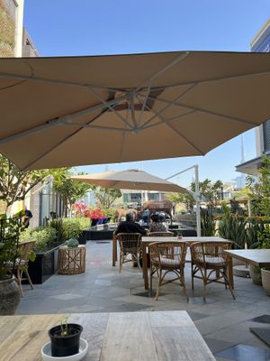   at Green Earth in Dubai