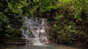 one of the waterfalls that is 5 minutes away from the rooms. at Finca Bavaria in Uvita