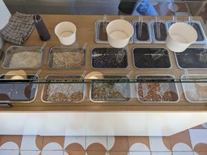 Toppings at Tejón Heladería Mexicana in Tepoztlan