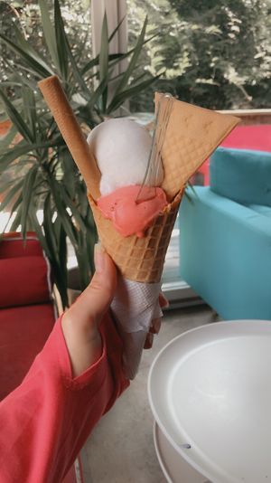 coconut and strawberry sorbet   at Caffe Romeo in Charleston