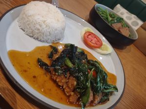 Basil chicken and rice at Baanying's Plant-Based Ying's Garden  in Bangkok