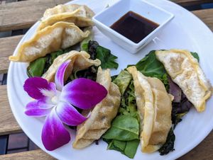 Vegan gyoza at The Sushi Samurai - Queen Anne in Seattle