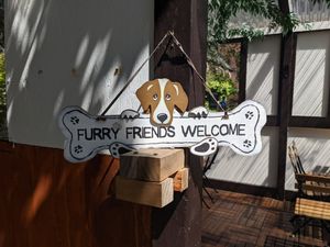 Go ahead and bring your fur baby at The Sushi Samurai - Queen Anne in Seattle