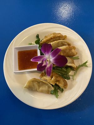 Gyoza  at The Sushi Samurai - Queen Anne in Seattle